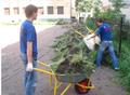 Услуги Грузчиков и Разнорабочих